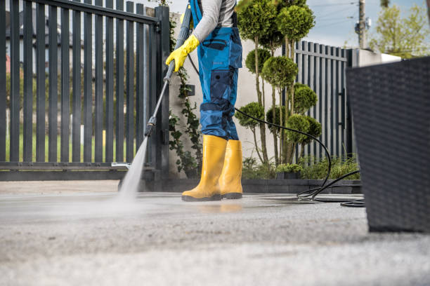 Best Building Exterior Washing  in Waterloo, IN